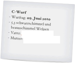    C-Wurf
Wurftag: 09. Juni 2010
5,3 schwarzschimmel und braunschimmel Welpen
Vater: Jago vom Theelshof
Mutter: Laika von der Madlage