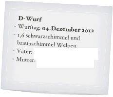 D-Wurf
Wurftag: 04.Dezember 2012
1,6 schwarzschimmel und braunschimmel Welpen
Vater: Quentos von der Madlage
Mutter: Laika von der Madlage